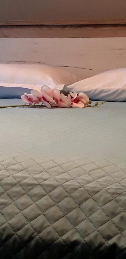 Sp+P Apartment Alepou エクステリア 写真